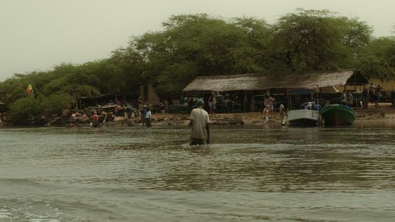 Retour sur le voyage d'étude au Sénégal - Chaire IRA 6 ESCP