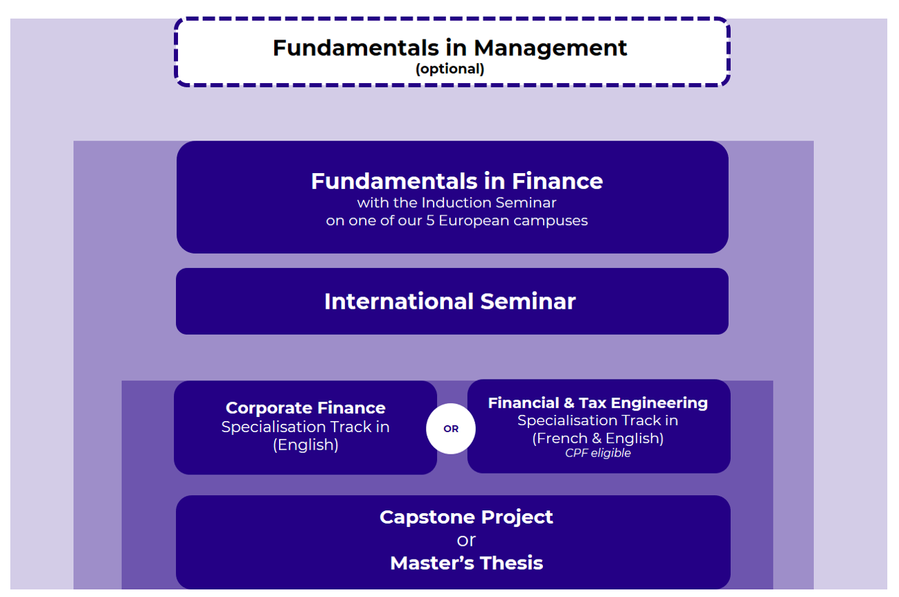 Executive Master in Strategic Finance Diagram